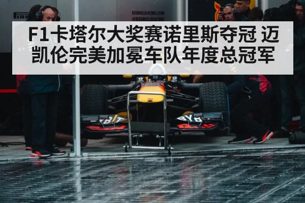 F1卡塔尔大奖赛诺里斯夺冠 迈凯伦完美加冕车队年度总冠军